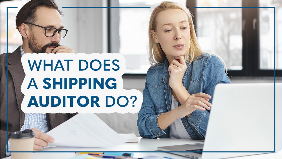 what does a shipping auditor do