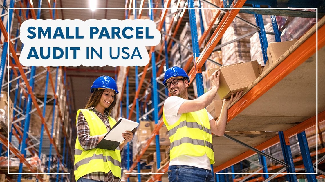 Small Parcel Audit in USA